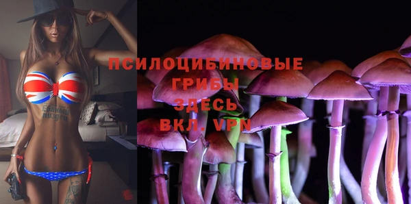 PSILOCYBIN Бронницы